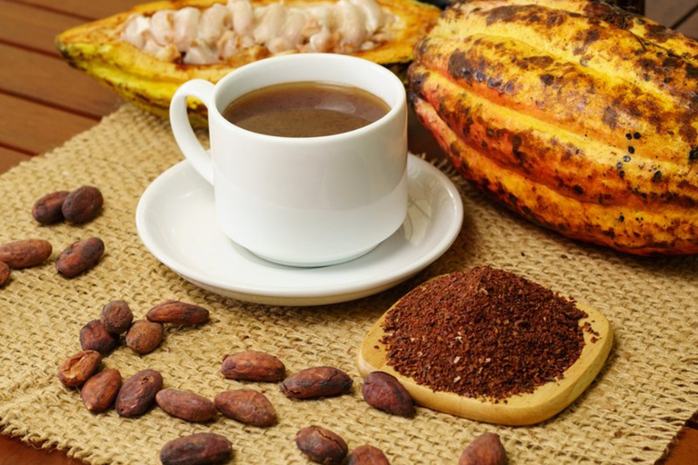 Cartagena: City History & Food Tour of Old Town & Getsemani