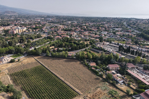 Etna : Urban Winery, promenade dans les vignobles et dégustation de vin au coucher du soleil