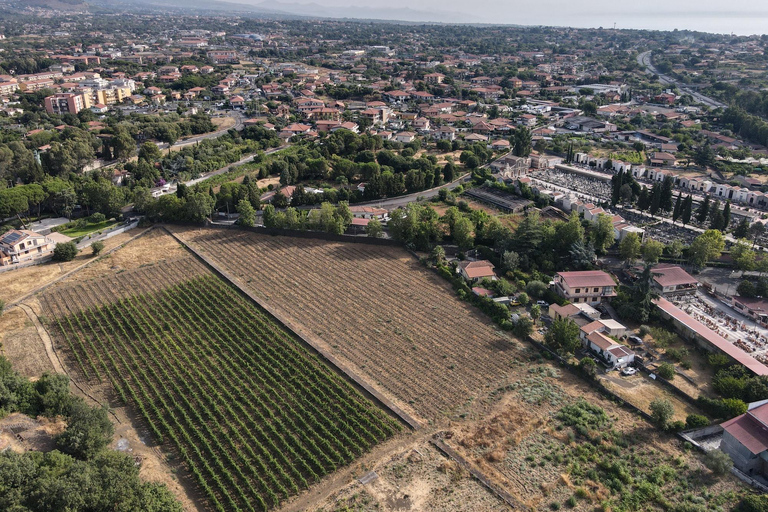 Etna : Urban Winery, promenade dans les vignobles et dégustation de vin au coucher du soleil