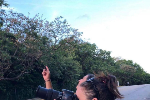 Cancún: Vogelfotografie-Expedition mit Transport