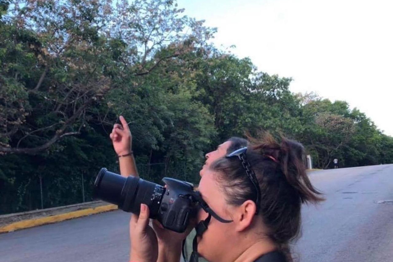 Cancún: Vogelfotografie-Expedition mit Transport