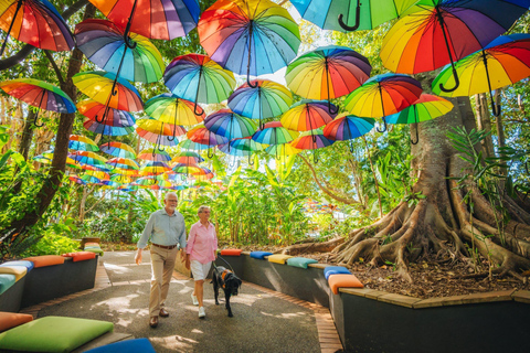 Visite VIP de l&#039;usine de gingembre et de Mountville au départ de BrisbaneCircuit + prise en charge et retour à Brisbane City