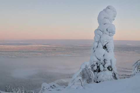 Pyhätunturi: prachtige sneeuwschoentocht in Fins LaplandSchilderachtige sneeuwschoentocht in Fins Lapland