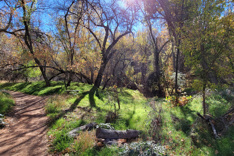 Sedona De wetenschappelijke en spirituele draaikolk tour: tour in kleine groep