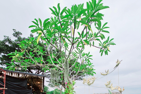 Yogyakarta: Instagrammable Cafes with Temple & Volcano View