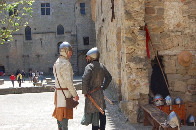Cité de Carcassonne : visite guidée privée