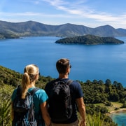 Queen Charlotte Track Cruise, Walk & Motuara Island Tour