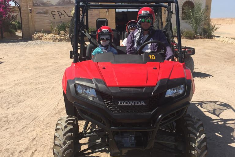 Marsa Alam: Sand Buggy Adventure with Camel Ride & Dinner