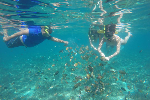 Lombok: Private Glass-Bottom Boat Tour with Snorkeling