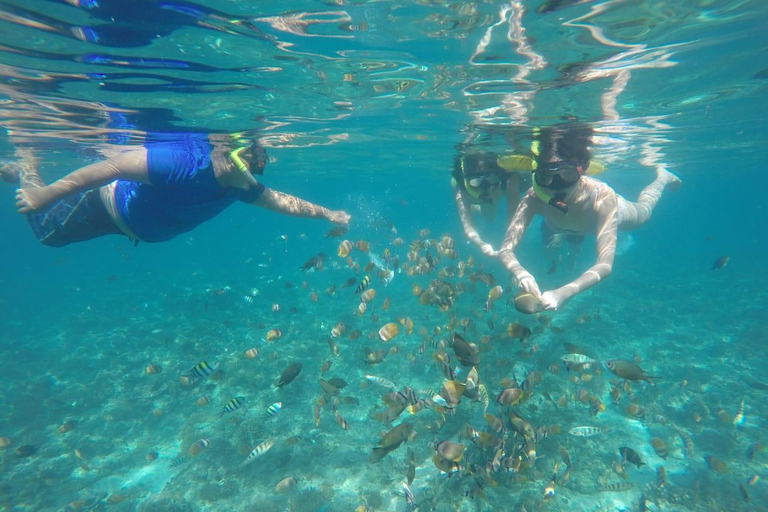 Lombok: Private Glass-Bottom Boat Tour with Snorkeling