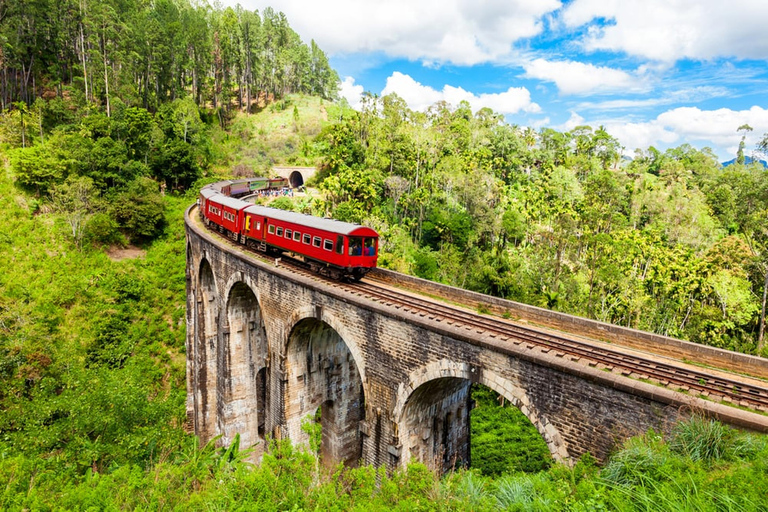 Explorez le charme d&#039;Ella : transfert en tuk tuk au Nine Arch Bridge