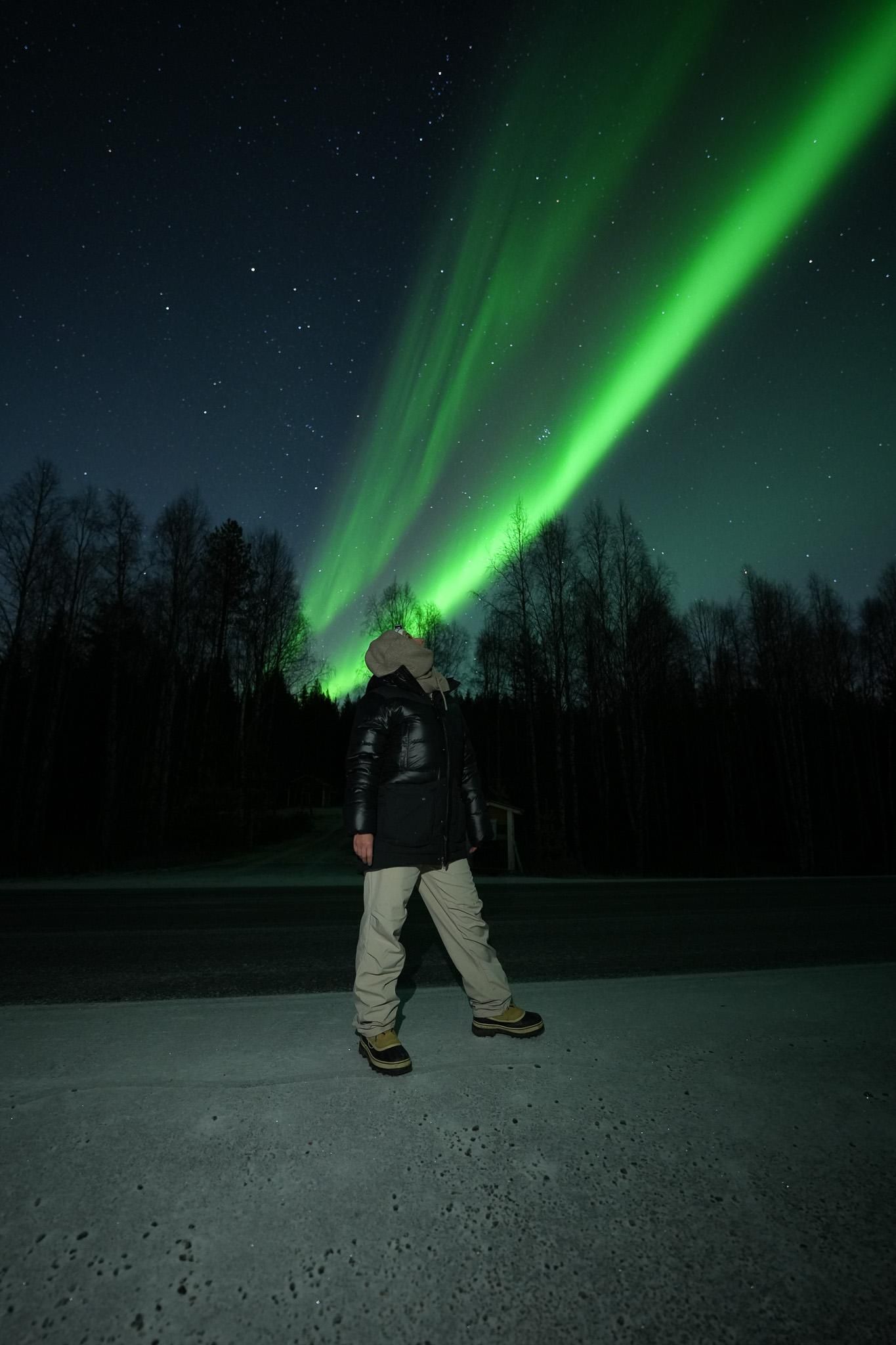 Rovaniemi: Kaffee unter den Nordlichtern & professionelles Foto