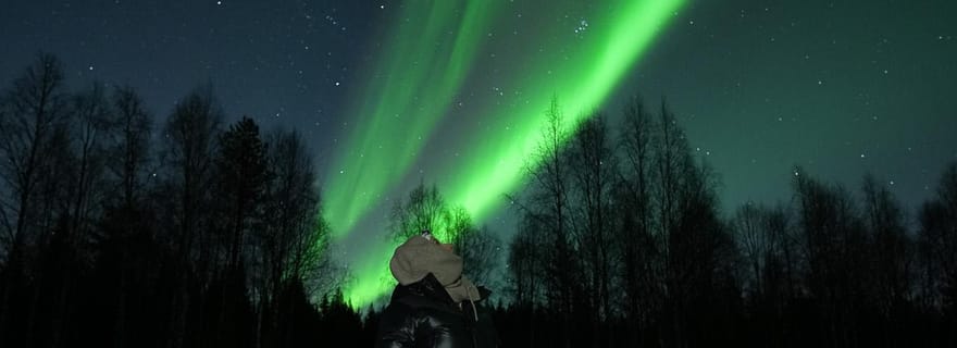 Rovaniemi : Café sous les aurores boréales et photographie professionnelle