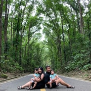 Bohol: Chocolate Hills, Tarsier, and Loboc River Tour