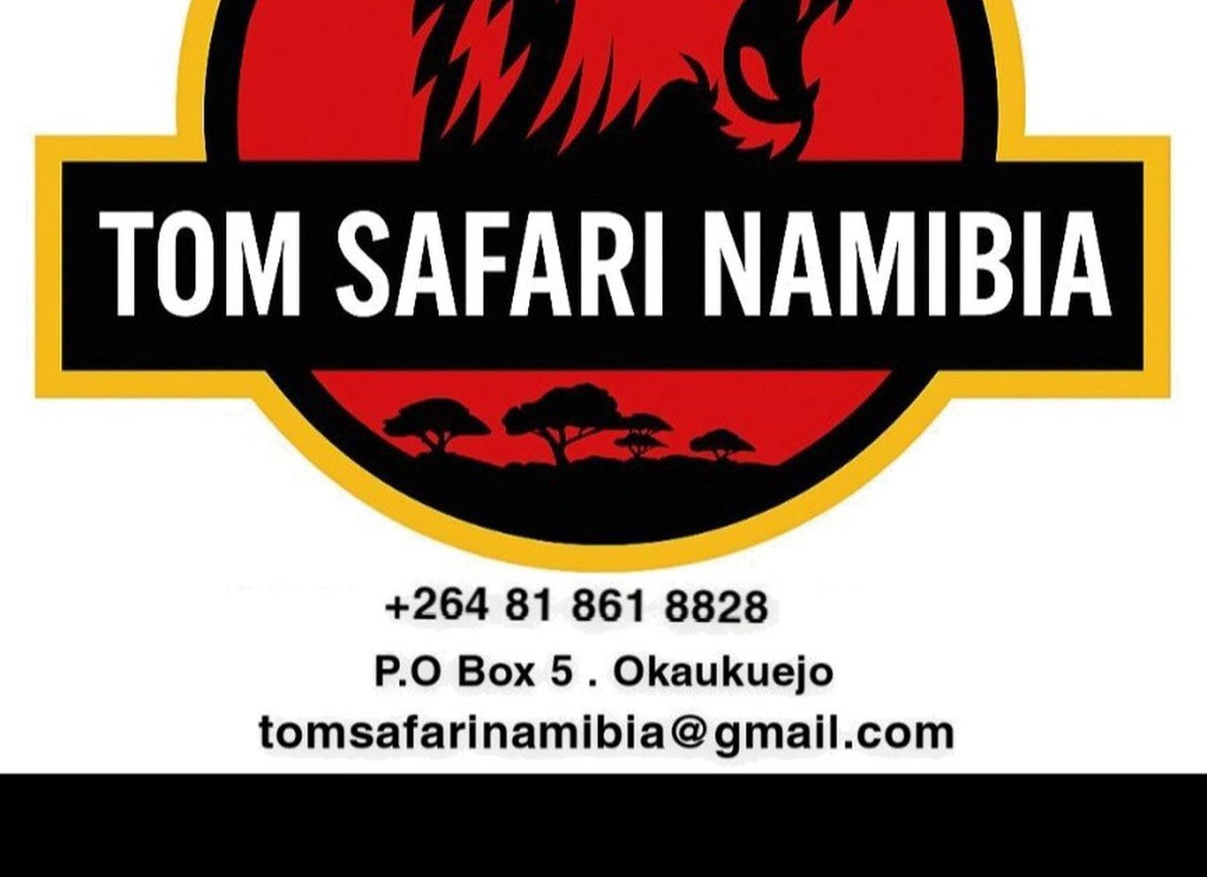 Etosha Nationalpark: Heldags eller halvdags game drive