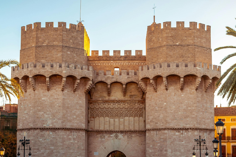 Valencia: Bike Tour, historic center & arts-sciences museum