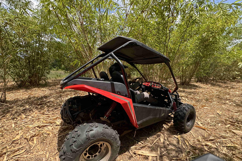 Bamboo Dune Buggy Tour