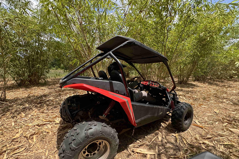Bamboo Dune Buggy Tour