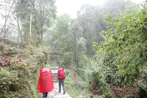 Desde Katmandú: Excursión guiada de 6 días al Campo Base del Mardi Himal