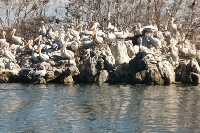 From Budva: Skadar Lake Land and Boat Tour