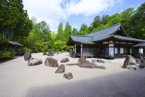 Från Osaka/Kyoto: Mount Koya &amp; Wakayama TourMed Nachi vattenfall