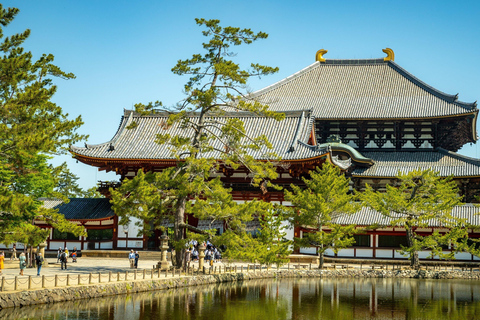 Nara & Kyoto Ancient Charm One-Day Tour Osaka Metro Nippombashi Station, Exit 2 (8:40)