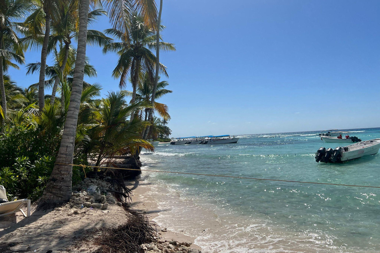 Excursão à Ilha Saona e ao Rio Chavon com almoço e bebidasOpção de excursão regular em grupo compartilhado