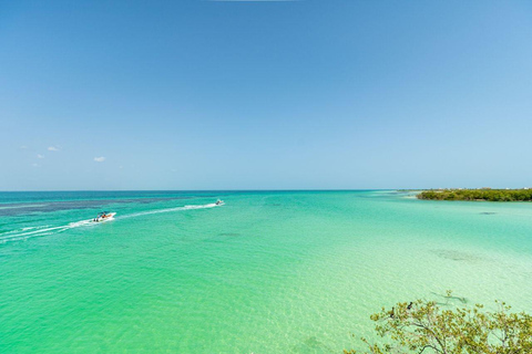 Holbox: Dagvullende tour naar het eiland, zwemmen in de cenote en lunch