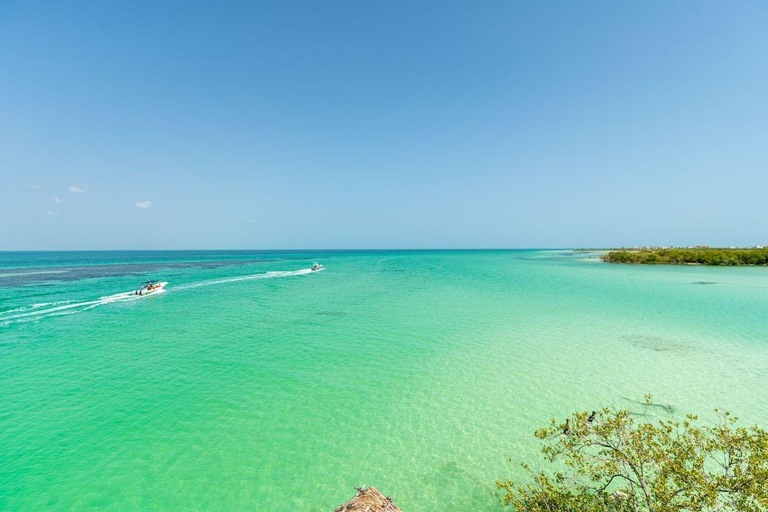 Holbox: Excursão de 1 dia à ilha, mergulho no cenote e almoço