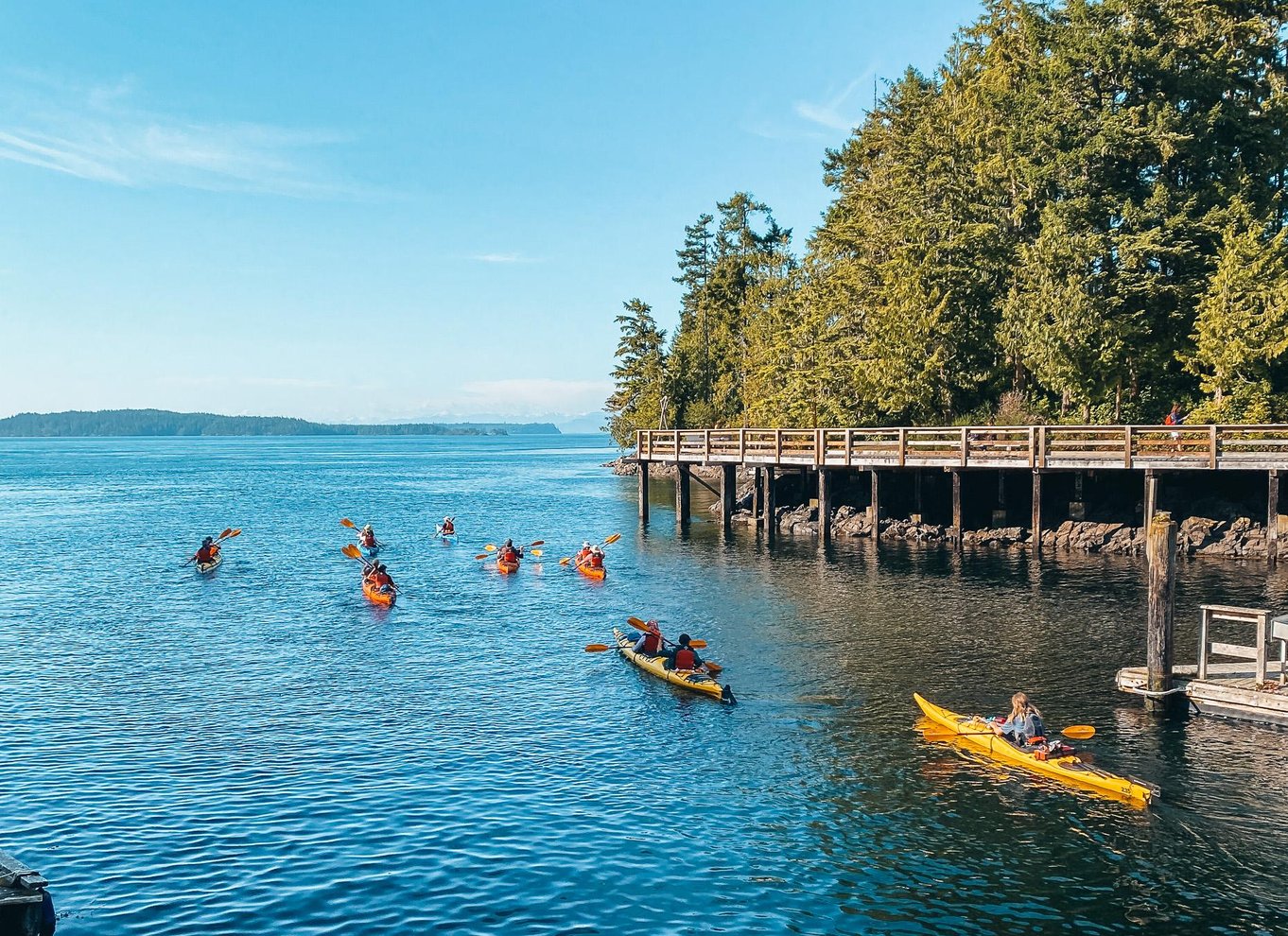 Telegraph Cove: 2-timers kajaktur om dagen eller aftenen