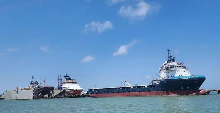 Galveston: Dolphin Watching Boat Tour in Galveston Bay photo 5