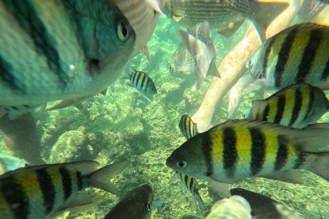 VIP 5-Island Speedboat Tour + Open Bar and Stops at Private Islands