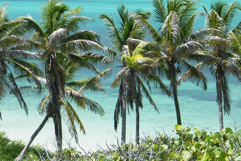 Van Riviera Maya: Isla Contoy & Isla Mujeres Volledige dagtourOphalen van Playa del Carmen en Riviera Maya