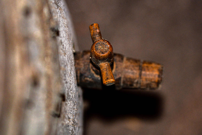 La Closerie de Fronsac: Classic Wine Tasting Tour La Closerie de Fronsac: Wine Tasting - Classic tour