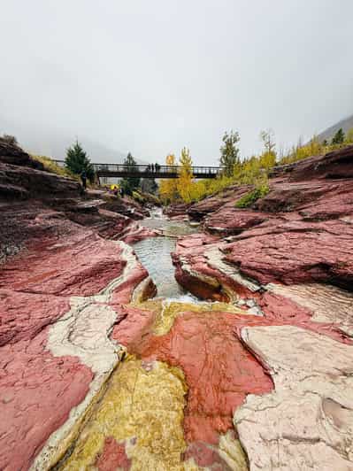 Explore Waterton National Park from Calgary: Day Guided Tour