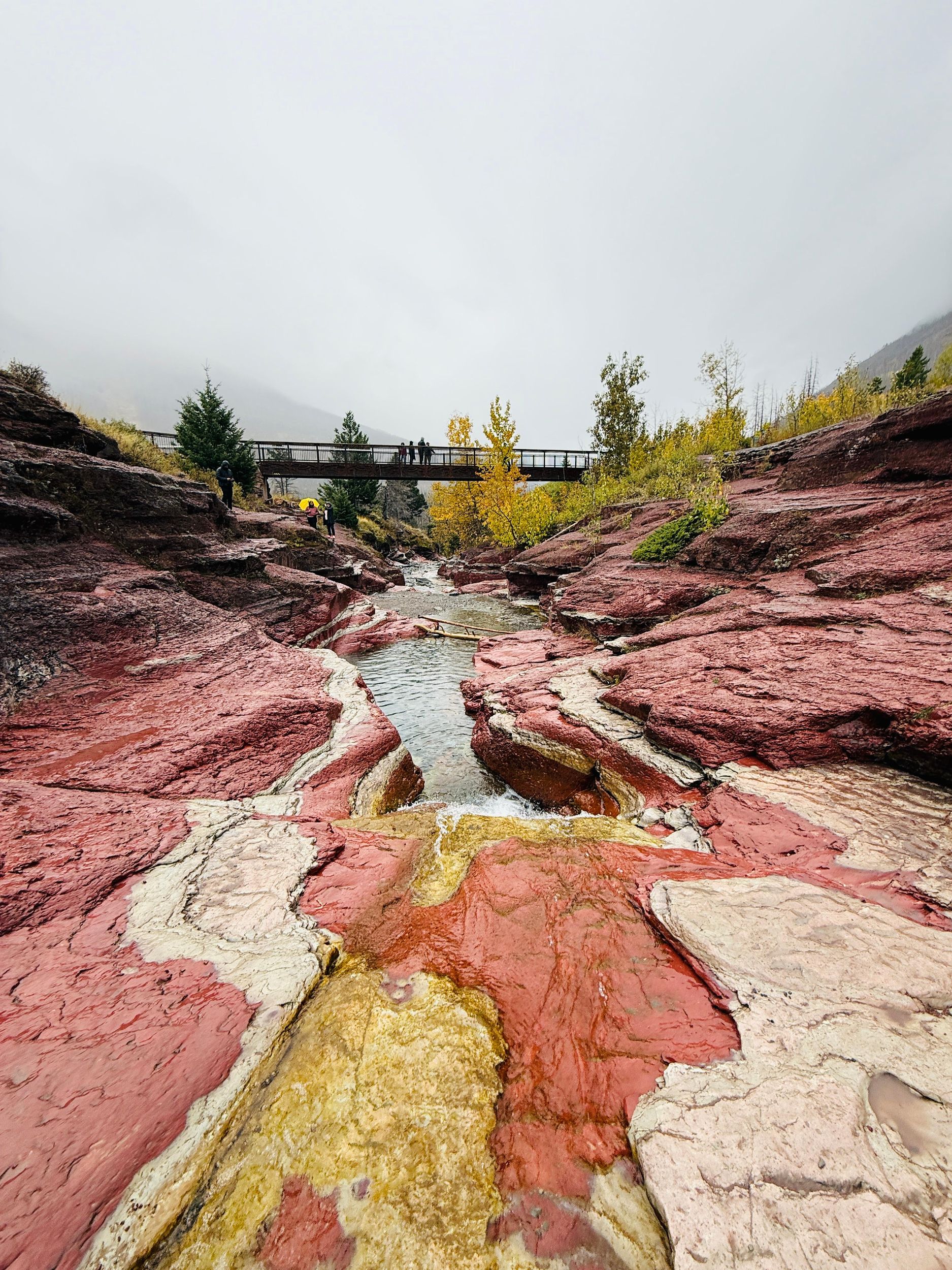 Entdecke den Waterton-Nationalpark ab Calgary: geführte Tagestour