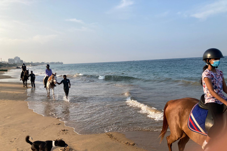 Horse Riding in Port City