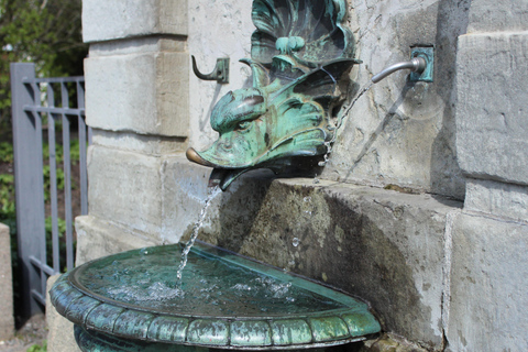Guided City Walking Tour with a native Gothenburger