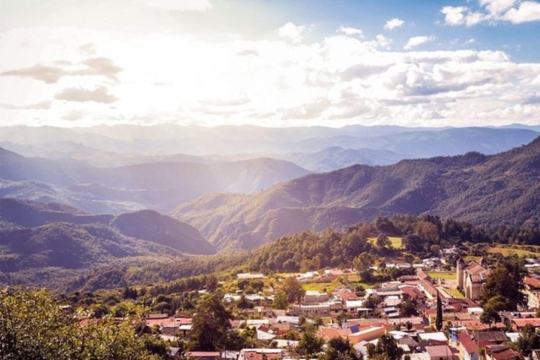 Oaxaca: Forest and Nature Walking Experience