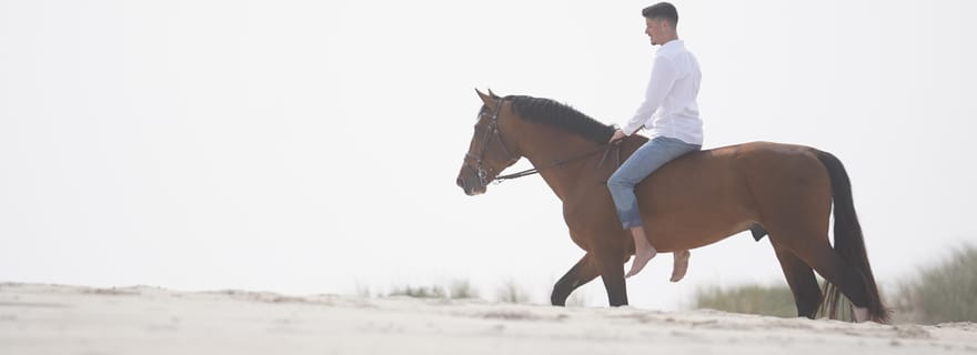 Aveiro : expérience d'équitation sur la plage