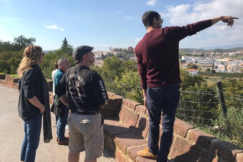 Excursão de 1 dia a Lagos e Sagres saindo de AlbufeiraDe Albufeira: Passeio Lagos Lagres