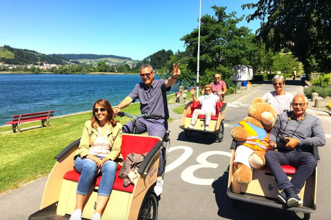 Interlaken: Prywatna wycieczka rowerowa Hidden Gems z piknikiemInterlaken: Ukryte klejnoty - prywatna wycieczka na rowerze elektrycznym