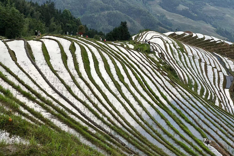 Tour particular personalizado: Tour privado de 2 dias pelos terraços de arroz de Longji