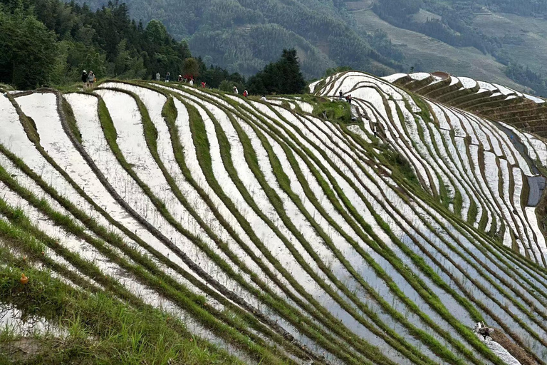 Privé transfer van Zhangjiajie naar GuilinMet de stop bij Chengyang Dong dorp