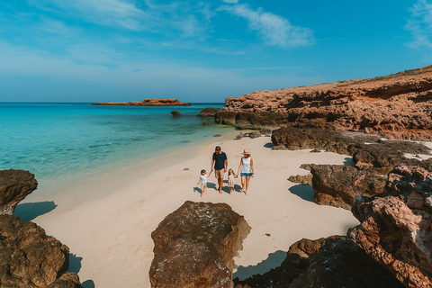 马斯喀特：在达亚马尼亚特群岛与海龟一起浮潜和皮划艇半日团体浮潜和皮划艇之旅，与海龟同行