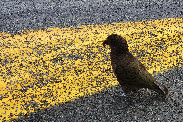 Tour di 4 giorni dell&#039;Isola del Sud in NZ da Christchurch a QueenstownSenza biglietti d&#039;ingresso per le attività e l&#039;alloggio