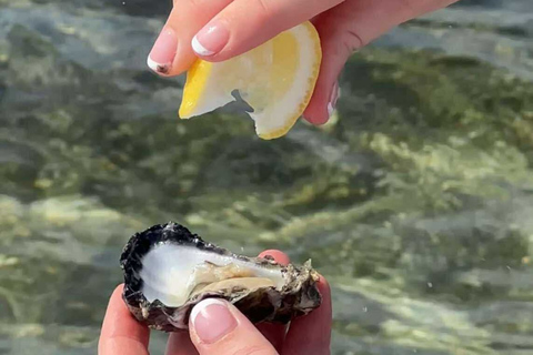 Moreton Bay: Oyster Farm Tour, Boat, Shucking & Tasting