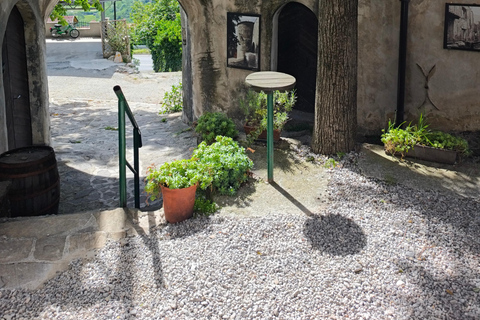 From Ljubljana: East Slovenia Backroads Tour with Meal