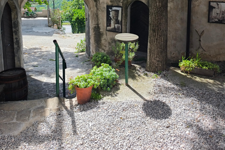 From Ljubljana: East Slovenia Backroads Tour with Meal