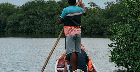 Cartagena: Artisanal fishing through the mangroves